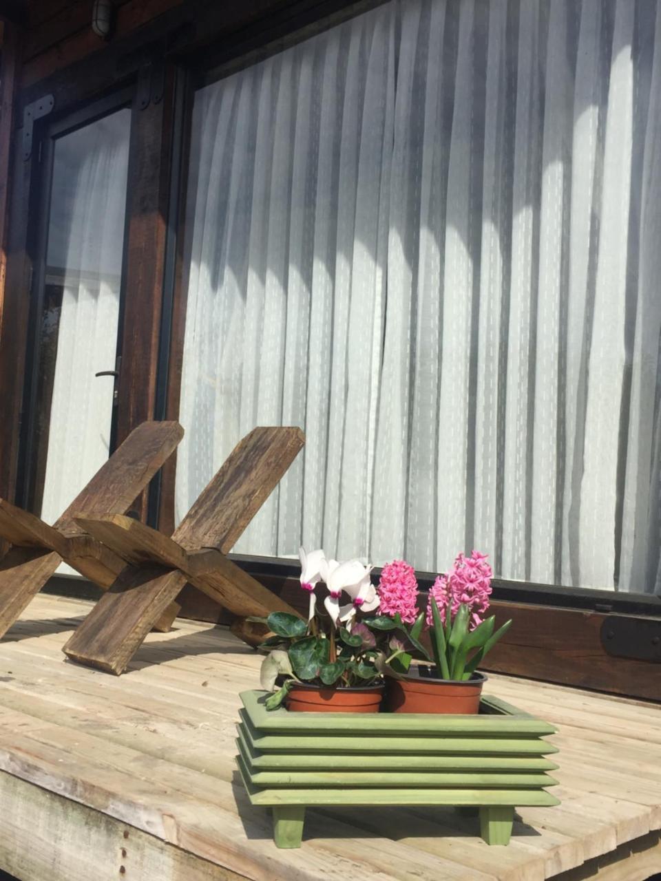 피칠레무 Palo Santo B&B 외부 사진