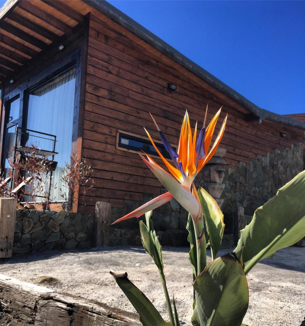 피칠레무 Palo Santo B&B 외부 사진